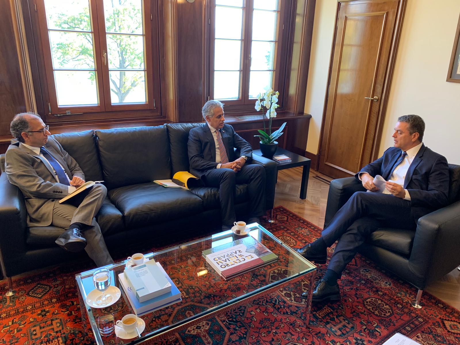 The Minister of Industry, Commerce &amp; Tourism meets WTO Director General