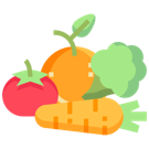 Food Activities