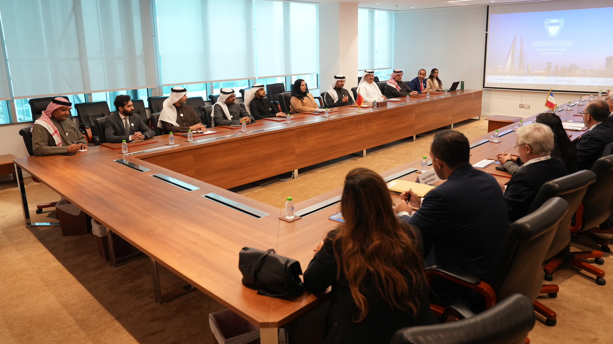 The Minister of Industry and Commerce Meets President of the French Enterprise Association "MEDEF International"  